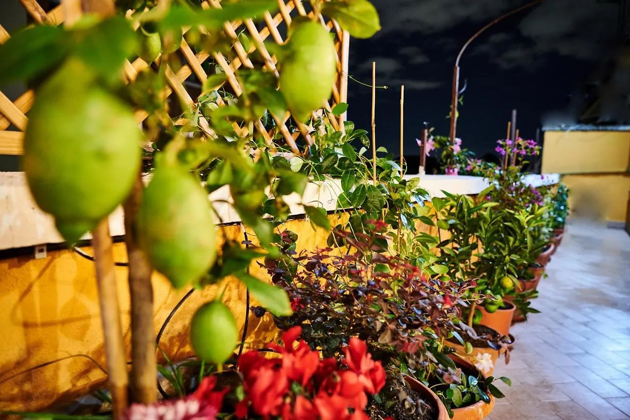 Terrace - Meospiti Penthouse Apartment Rome Italy